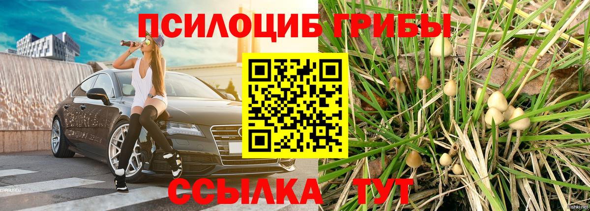 Шатура  Псилоцибиновые грибы мицелий  наркота  Вход с VPN 