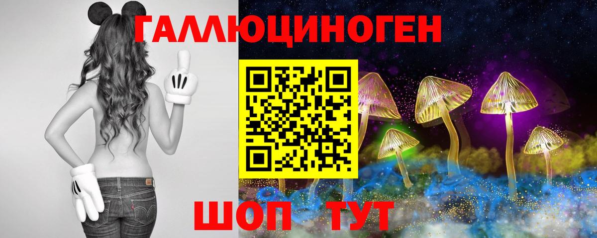 Псилоцибиновые грибы мицелий Шатура