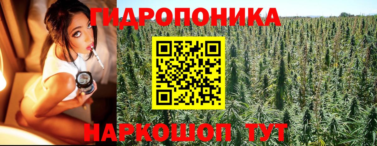 Канабис индика  Вход с VPN  Бошки Шишки SATIVA & INDICA  Бошки марихуана THC 21%  Шатура  Шишки марихуана индика 